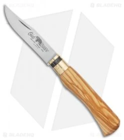Antonini Old Bear Classical Medium Folding Knife Italian Olive (3.2" Satin)