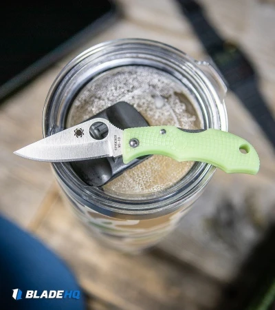 Spyderco Ladybug 3 Knife Glow FRN (1.9" Satin) LPGITD3 - Image 5